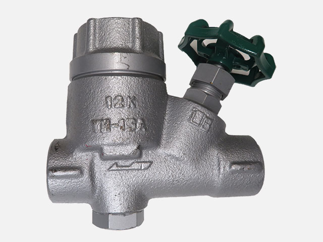 Steam Trap